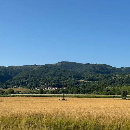 Holzhaus In Der Therme Catez - Familienfreundlich, Naehe Wintersommerriviera Σπίτι διακοπών *